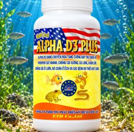 ALPHA D3 PLUS