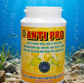 ANTI PRO