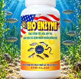 BIO ENZYME
