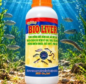 BIO LIVER