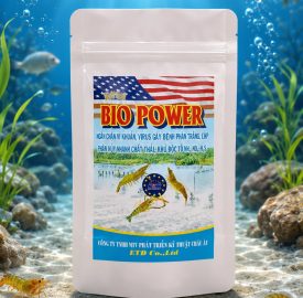 BIO POWER