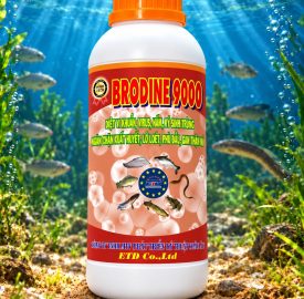 BRODINE 9000