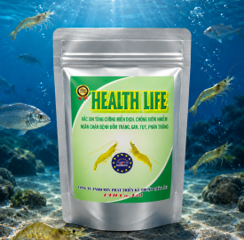 HEALTH LIFE