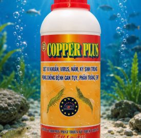 COPPER PLUS