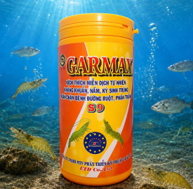 GARMAX S9 