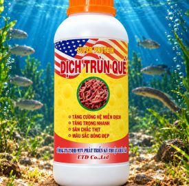 SUPER PROTEIN DỊCH TRÙN QUẾ