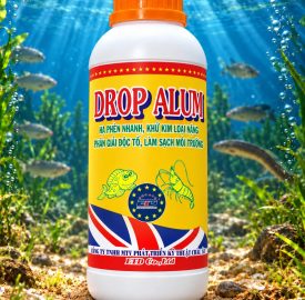 DROP ALUM