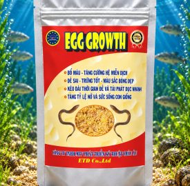 EGG GROWTH
