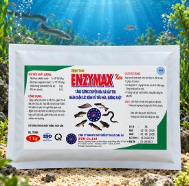 ENZYMAX