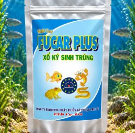 FUCAR PLUS