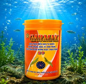 GARMAX S9 
