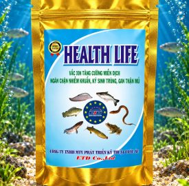HEALTH LIFE