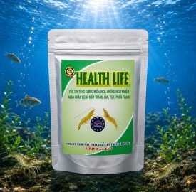 HEALTH LIFE
