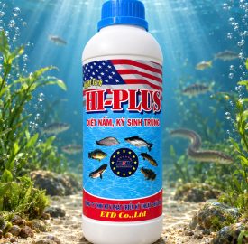 HI-PLUS