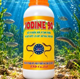 IODINE 90