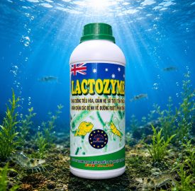 LACTOZYME