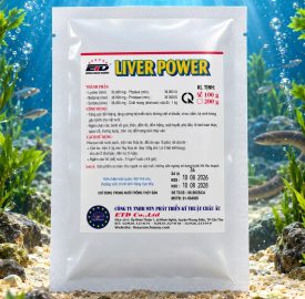 LIVER POWER