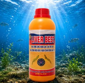 LIVER BEST