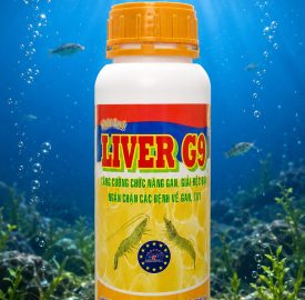 LIVER G9 