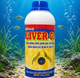 LIVER G9 XANH