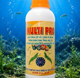 MULTI PRO