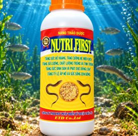 NUTRI FIRST