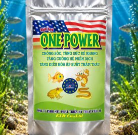 ONE POWER