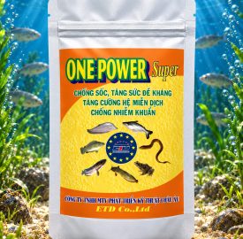 ONE POWER Super
