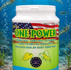 ONE POWER