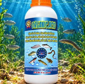 ORGANIC ACID