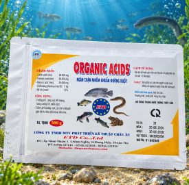 ORGANIC ACIDS