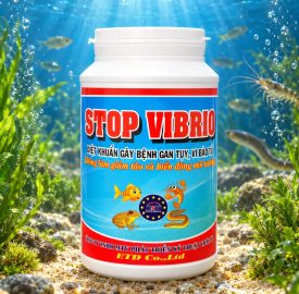 STOP VIBRIO