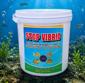 STOP VIBRIO