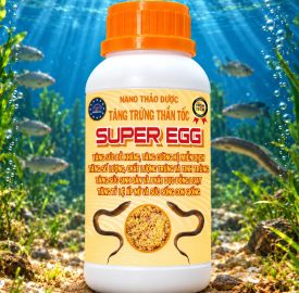 SUPER EGG