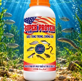 SUPER PROTEIN