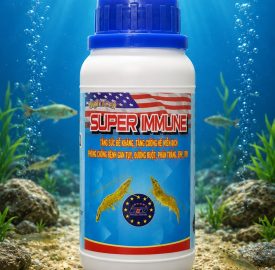 SUPER IMMUNE