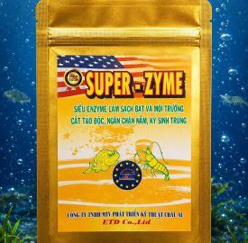 SUPER-ZYME