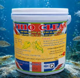 THIO CLEAN