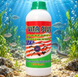 VITA PLUS