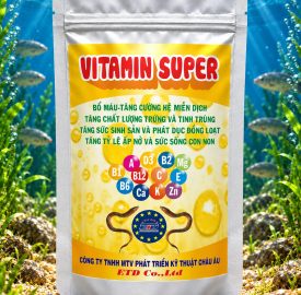 VITAMIN SUPER
