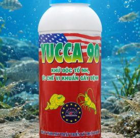 YUCCA 90