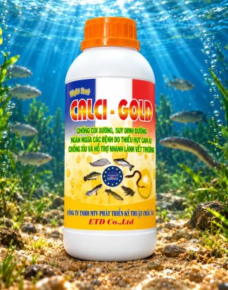 CALCI - GOLD