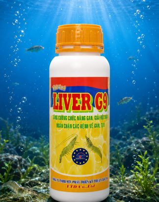 LIVER G9 