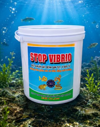 STOP VIBRIO