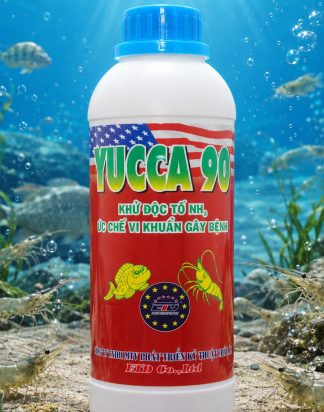YUCCA 90