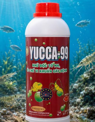 YUCCA-99