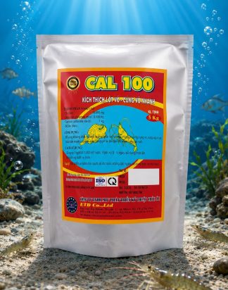 CAL 100