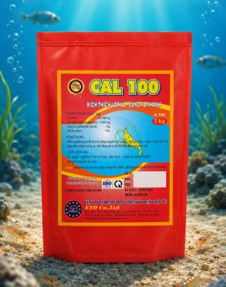 CAL 100