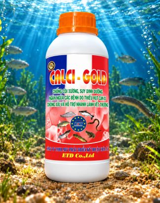 CALCI - GOLD