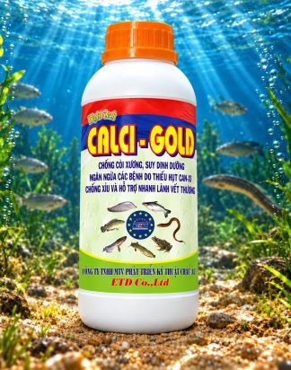 CALCI - GOLD
